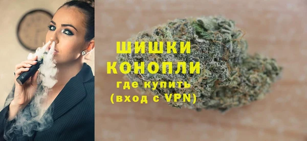 крисы Покачи