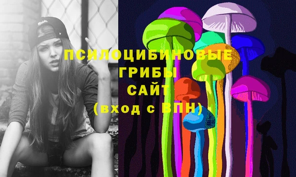 ГАЛЛЮЦИНОГЕННЫЕ ГРИБЫ Арсеньев