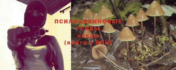 ГАЛЛЮЦИНОГЕННЫЕ ГРИБЫ Арсеньев
